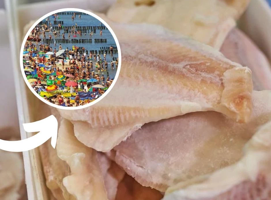 Jakich ryb lepiej unikać nad Bałtykiem? Panga jest rybą silnie zanieczyszczoną, o niskich wartościach odżywczych