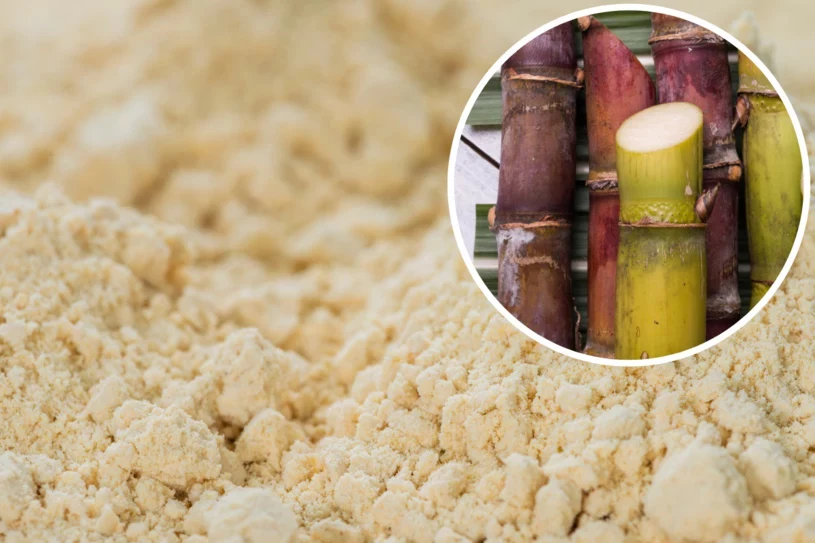 Mąka bambusowa wkracza przebojem do polskiej kuchni