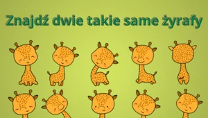 Czy uda ci się znaleźć dwie takie same żyrafy? Trudny test na spostrzegawczość