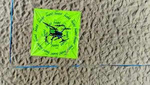 Żabka informuje o pierwszej powietrznej dostawie zakupów na plażę. Źródło: Materiały prasowe Żabka Jush