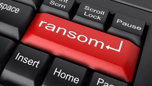 Żądanie okupu za dostęp do własnego komputera. Jak walczyć z oprogramowaniem ransomware?