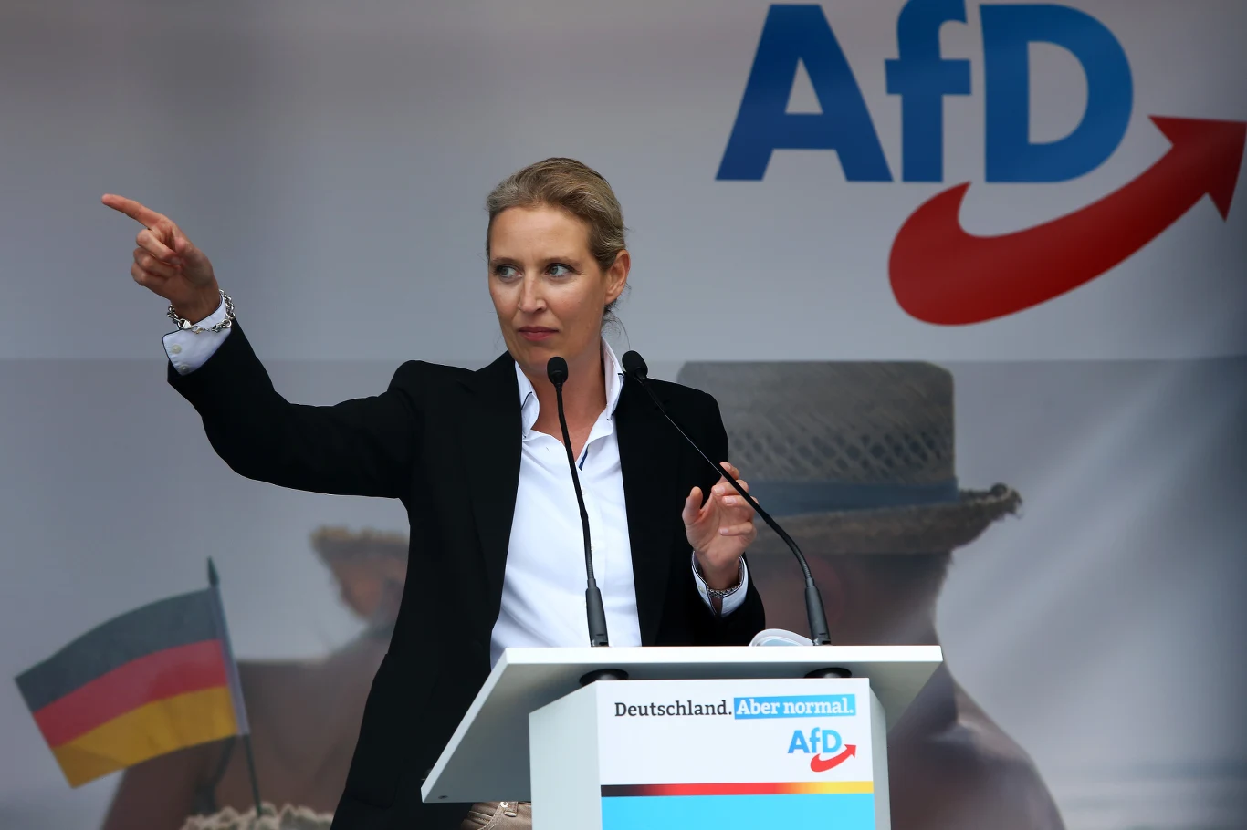 Alice Weidel, rzeczniczka AfD Alice Weidel, rzeczniczka AfD