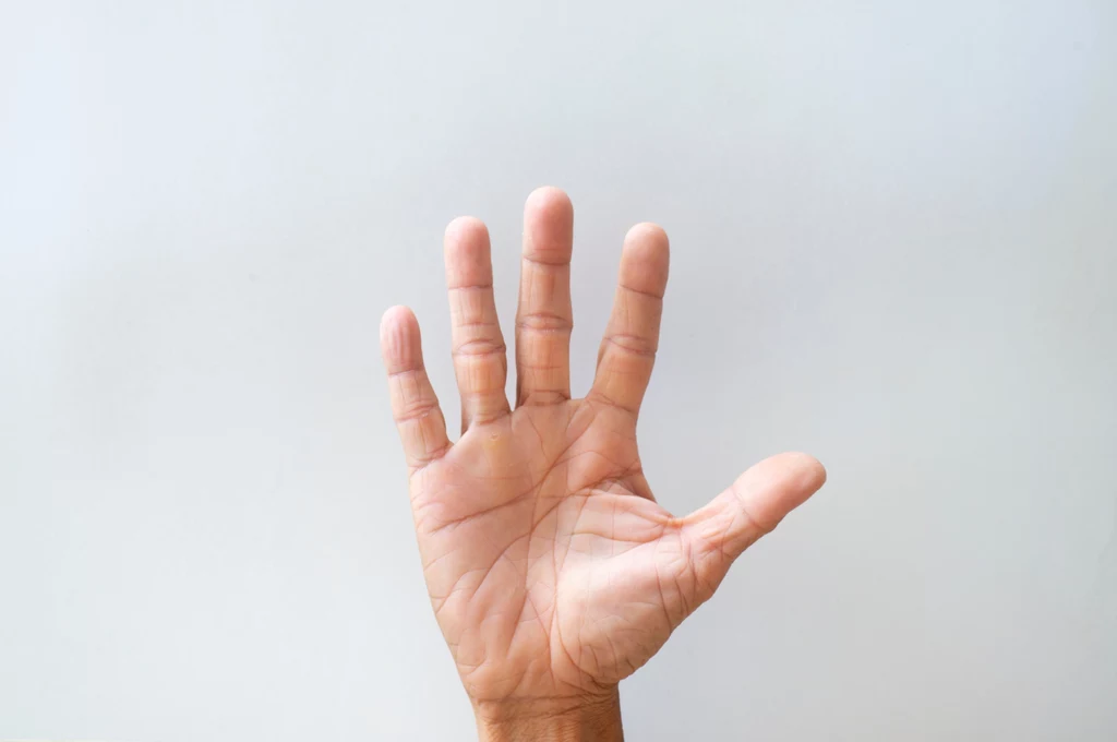 Co można wyczytać z ludzkiej dłoni? 