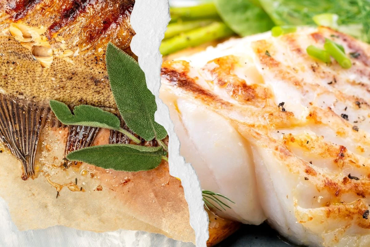 Wyjście "na rybkę" to obowiązkowy punkt wakacji nad morzem