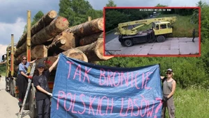 Trwa eksmisja Inicjatywy Dzikie Karpaty. Aktywiści są usuwani siłą