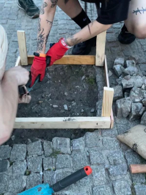 W odpowiedzi na wycinkę aktywiści postanowili sadzić kwiaty.