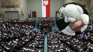 Posłowie przyjęli tzw. ustawę Kamilka