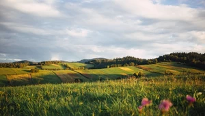 Człowiek, jako gatunek, prowadzi konsumpcyjne życie. Wytwarzana ilość odpadków i śmieci zalewa naszą planetę. 