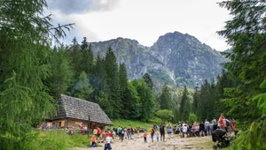 Remont szlaku w Dolinie Strążyskiej w Tatrach. Jaki będzie efekt?