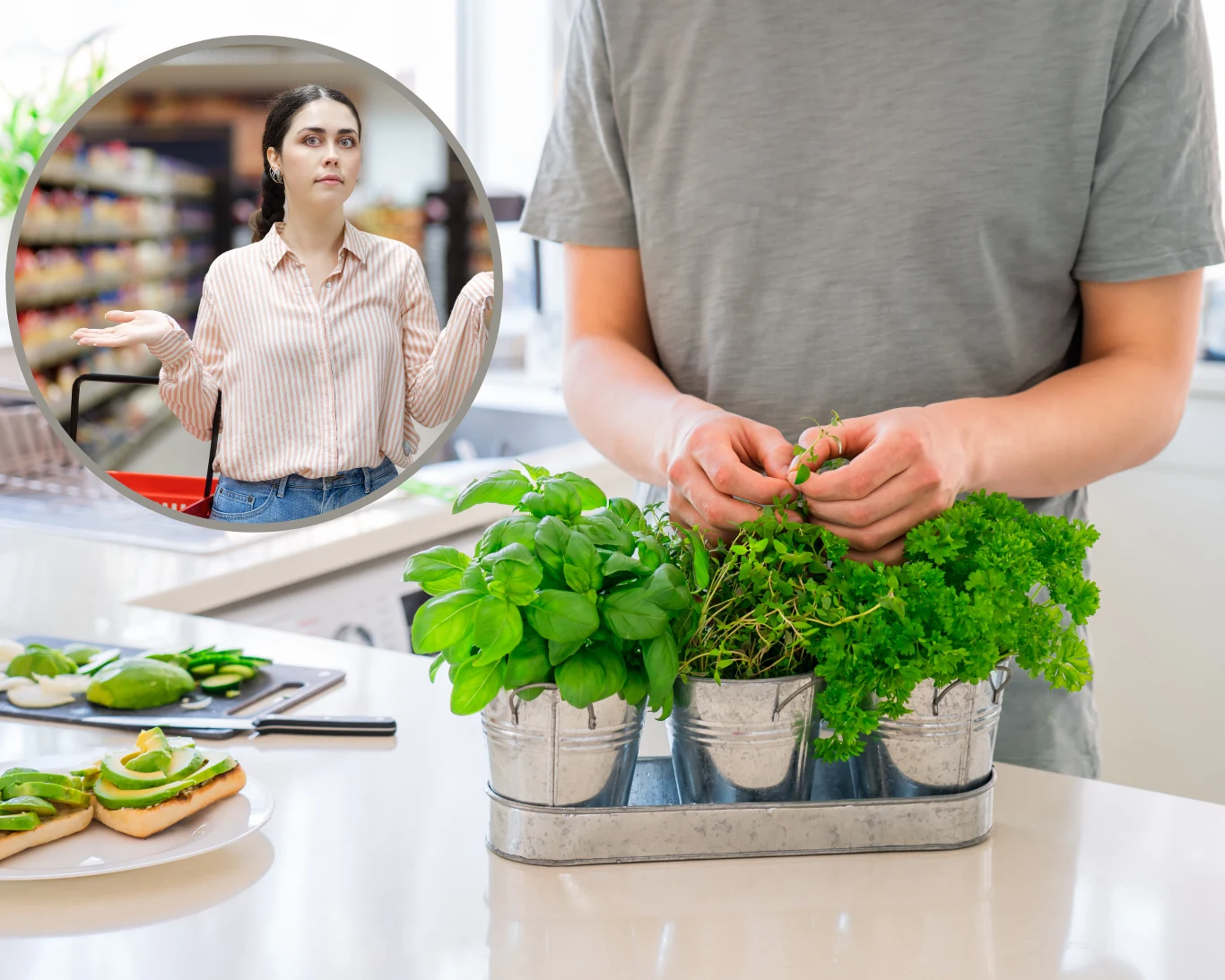 Jak uratować bazylię z supermarketu? Jak uratować bazylię z supermarketu?