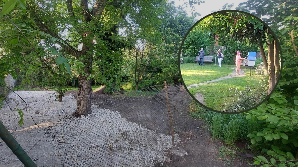 Park Młynówka Królewska Park Młynówka Królewska