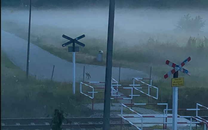 Zdjęcie zrobione przez panią Małgorzatę Zdjęcie zrobione przez panią Małgorzatę