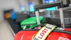 Zgubiony bagaż na wakacjach. Jak się zachować i na jaką rekompensatę możesz liczyć?
