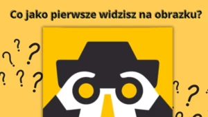 Iluzja optyczna: Co widzisz na obrazku? Trend z TikToka podbija internet. Wyjawi twoją prawdziwą naturę