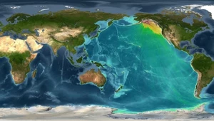 Trzęsienie ziemi obok Alaski. Służby ostrzegły przed tsunami