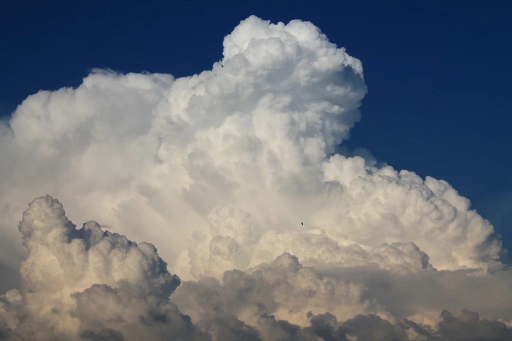 Chmura cumulonimbus oznacza, że możemy spodziewać się burzy.