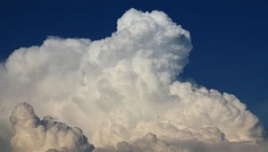 Chmura cumulonimbus oznacza, że możemy spodziewać się burzy.