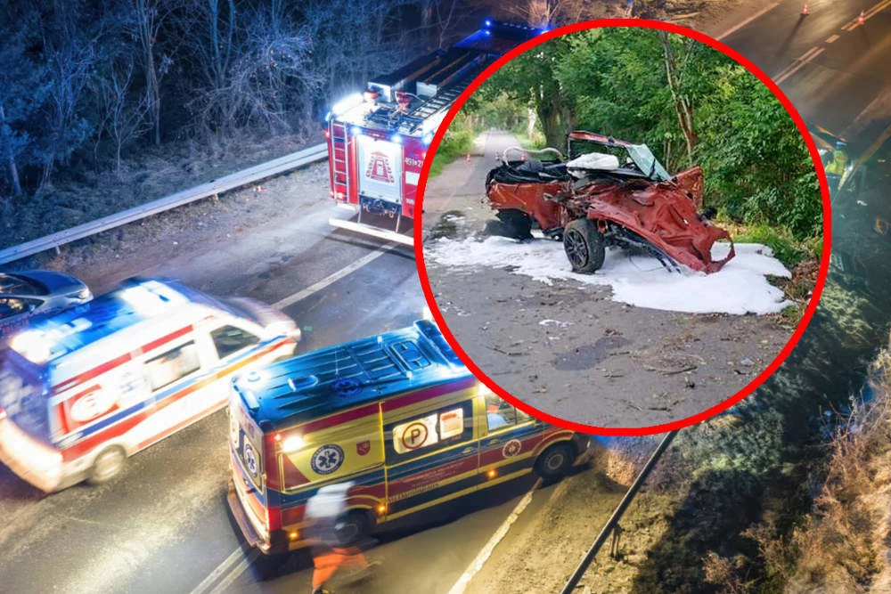 W wypadku na Pomorzu zginął kierowca i dwóch pasażerów /fot. KPP Sztum/Michał Adamowski/Reporter