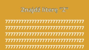 Test na spostrzegawczość, który sprawia wielu problem. Masz 5 sekund, by znaleźć "Z". Czas start!	