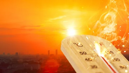 Padły rekordy temperatury w Kalifornii