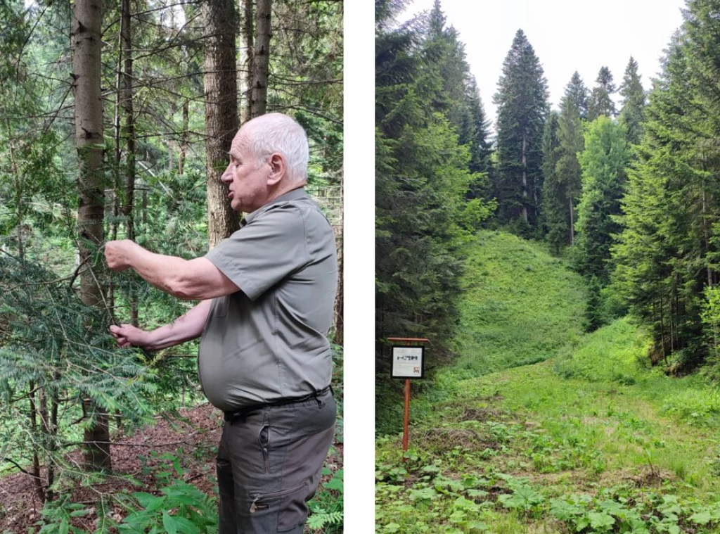 Dyrektor Leśnego Zakładu Doświadczalnego na terenie byłej skoczni Zdj./Gabriela Wójcik