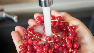 Ceny wody i ścieków powinny być wyższe? Większość Polaków jest za