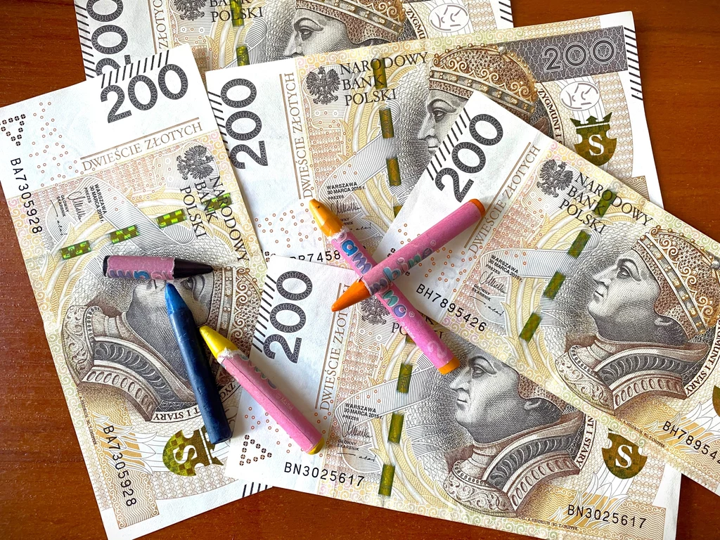 Według zapowiedzi MRPiPS pierwsze pieniądze z programu Aktywny Rodzic zostaną wypłacone w trzecim kwartale 2024 r.