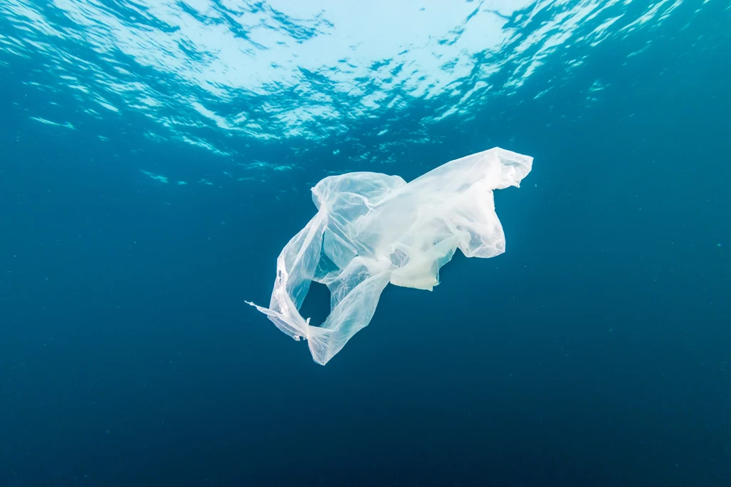 Plastikowe odpady są nawet w najgłębszych miejscach naszej planety - rowach oceanicznych