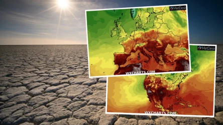 Naukowiec z NASA Peter Kalmus alarmuje, że kolejne lata będą jeszcze gorętsze niż obecne