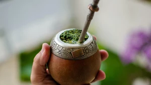 Yerba mate – energetyzujący napój z Ameryki Południowej