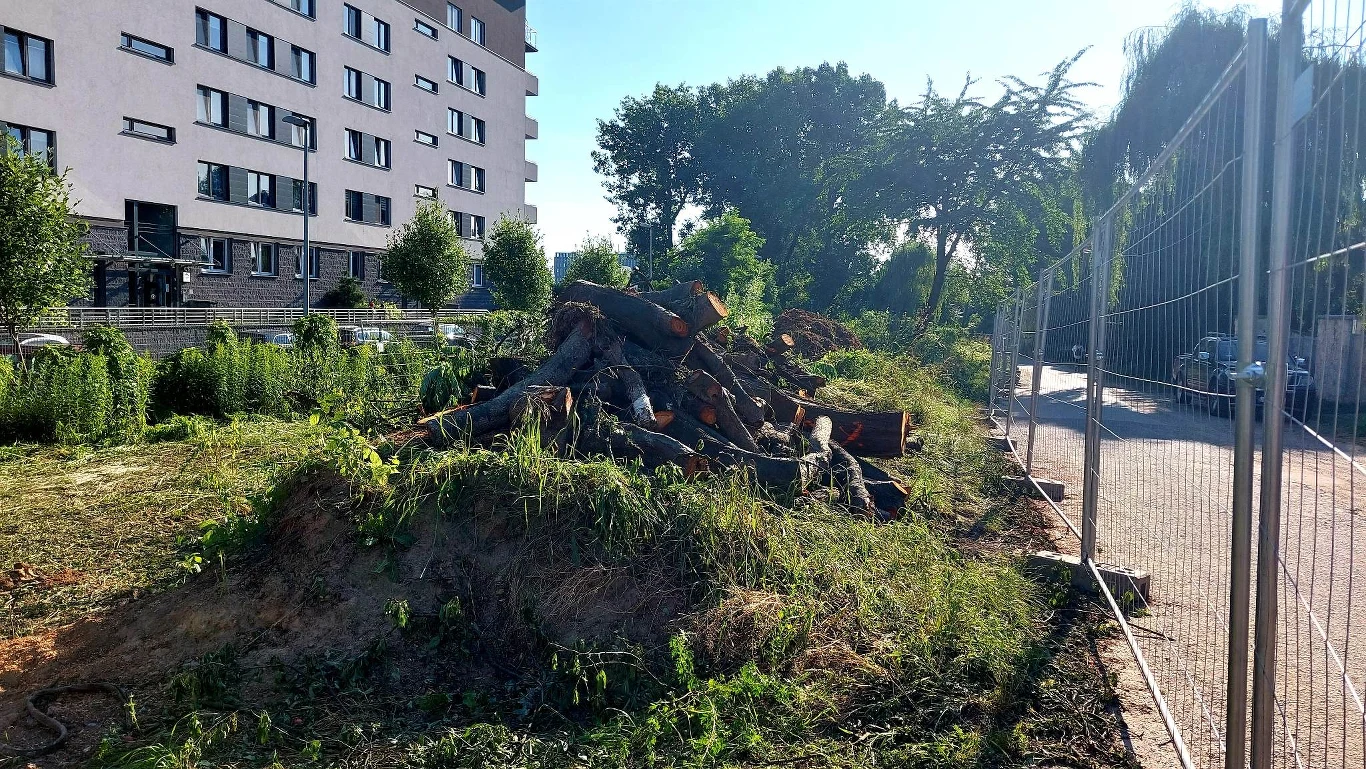 O tym, co wynika z opracowanych dokumentów, informowali już w lutym 2022 miejscy aktywiści. Łącznie 16 organizacji pozarządowych, wspólnie z architektami i urbanistami, przygotowało audyt społeczny. Szkopuł w tym, że część przygotowanych przez urząd wizualizacji, nie jest zgodna z tym, co ostatecznie zostało zapisane w dokumentach. W skrócie: na urzędowych grafikach torowisko jest pełne zieleni, a dotychczasowe drzewa, które zostały przeznaczone do wycinki, nadal rosną.