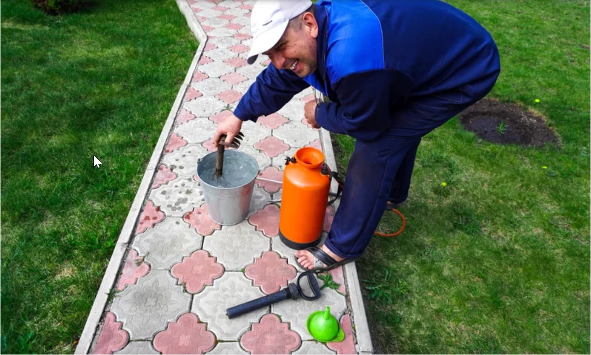Jak tanio i skutecznie pozbyć się chwastów z kostki brukowej?