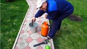Chcesz pozbyć się chwastów z kostki brukowej? Tego nie używaj pod żadnym pozorem