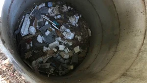 Hydraulik był przekonany, że widzi węże