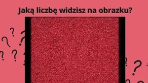 Zgadniesz jaka liczba jest na obrazku? Prawidłową odpowiedź znają tylko nieliczni