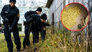 Policji udało się odzyskać część skradzionego złota