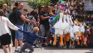 Twoje dziecko kupiło pluszową gęś? UOKiK alarmuje przed zagrożeniem