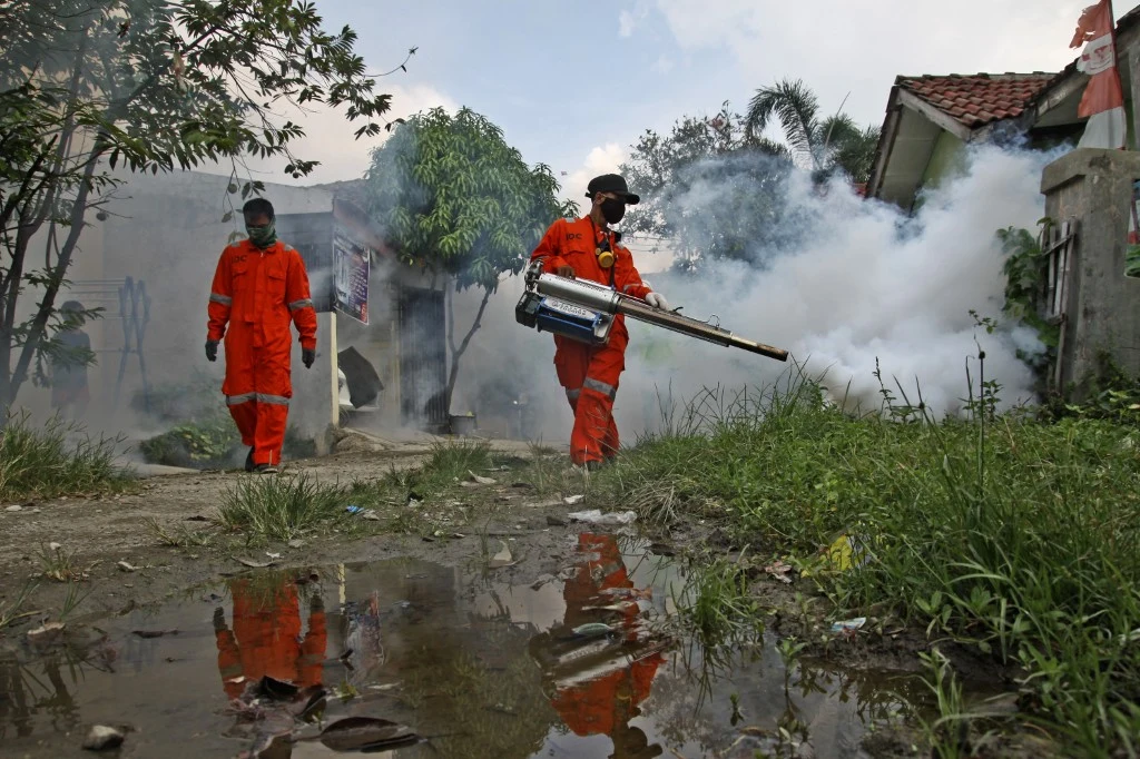Fumigacja kompleksu mieszkaniowego przeciwko komarom Aedes Aegypti w celu opanowania epidemii dengi w wiosce Wanasari w prowincji Jawa Zachodnia, Indonezja (6 maja 2020 r.) Fumigacja kompleksu mieszkaniowego przeciwko komarom Aedes Aegypti w celu opanowania epidemii dengi w wiosce Wanasari w prowincji Jawa Zachodnia, Indonezja (6 maja 2020 r.)