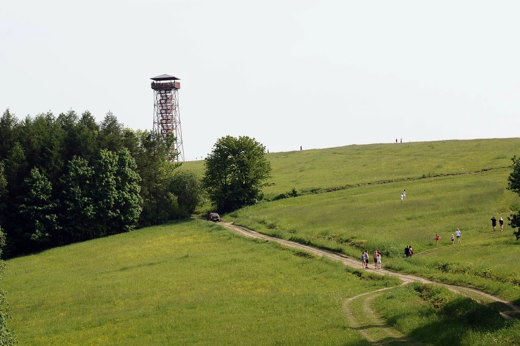 Kontrowersyjna budowla - wieża widokowa w Desznicy. Niektórzy uważają, że jej wybudowanie było bezsensowne
