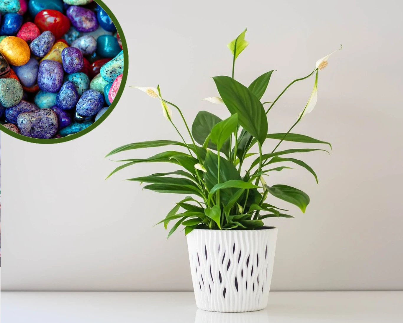 Jak za pomocą kamieni podnieść wilgotność powietrza?