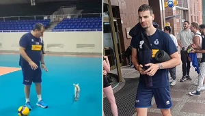 "Czy w Polsce są jakieś koty?". Włoscy siatkarze rozpoczęli poszukiwania