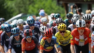 Nagłe zmiany na trasie Tour de France. Wykryto ognisko zakaźnej choroby