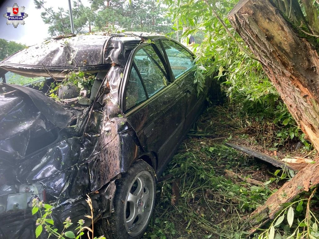 Gdyby auto uderzyło w drzewo dachem a nie słupkiem C doszłoby do masakry Gdyby auto uderzyło w drzewo dachem a nie słupkiem C doszłoby do masakry