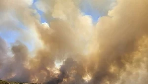 Pożar na Rodos. Wiatr zmienił kierunek, zagrożona strefa turystyczna