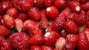 Są skarbnicą potasu i witaminy C. Poziomki wspierają trawienie i likwidują stany zapalne