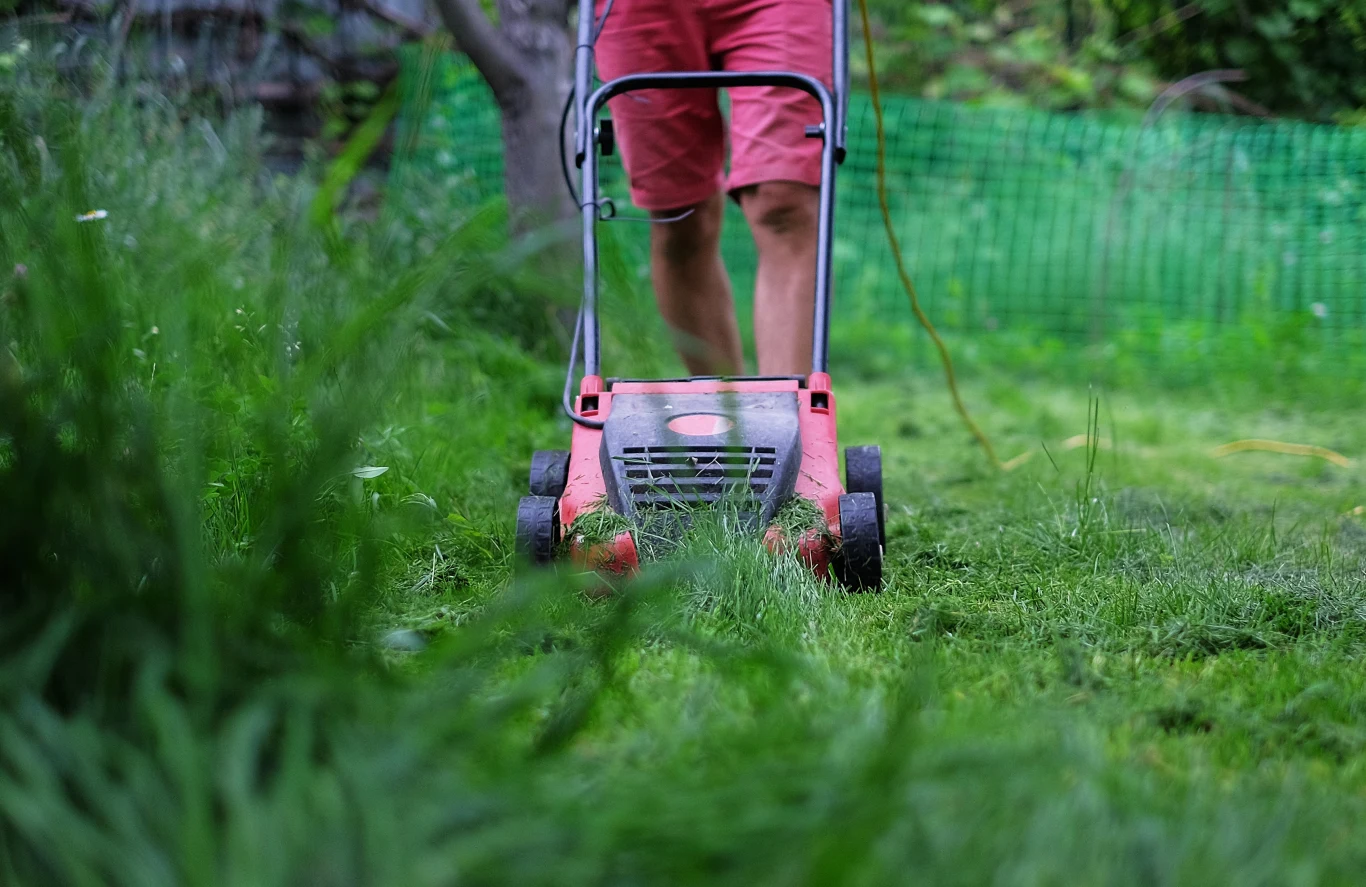 Co jest lepsze dla naszego trawnika - częstsze czy rzadsze koszenie? Co jest lepsze dla naszego trawnika - częstsze czy rzadsze koszenie?