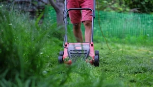 Coraz więcej działkowców chce zakazu koszenia trawy w niedziele na ROD