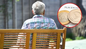 Średniej emerytury w Polsce bliżej do zarobków pracowników w naszym kraju, niż w przypadku analogicznego wskaźnika w Niemczech