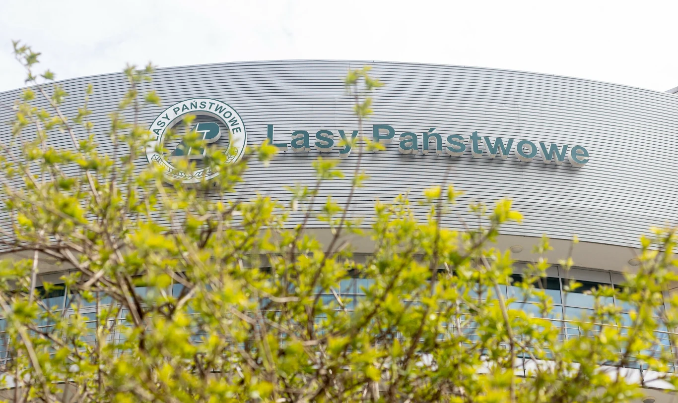 Budżet Lasów Państwowych w 2022 r. wyniósł ok. 3 mld zł