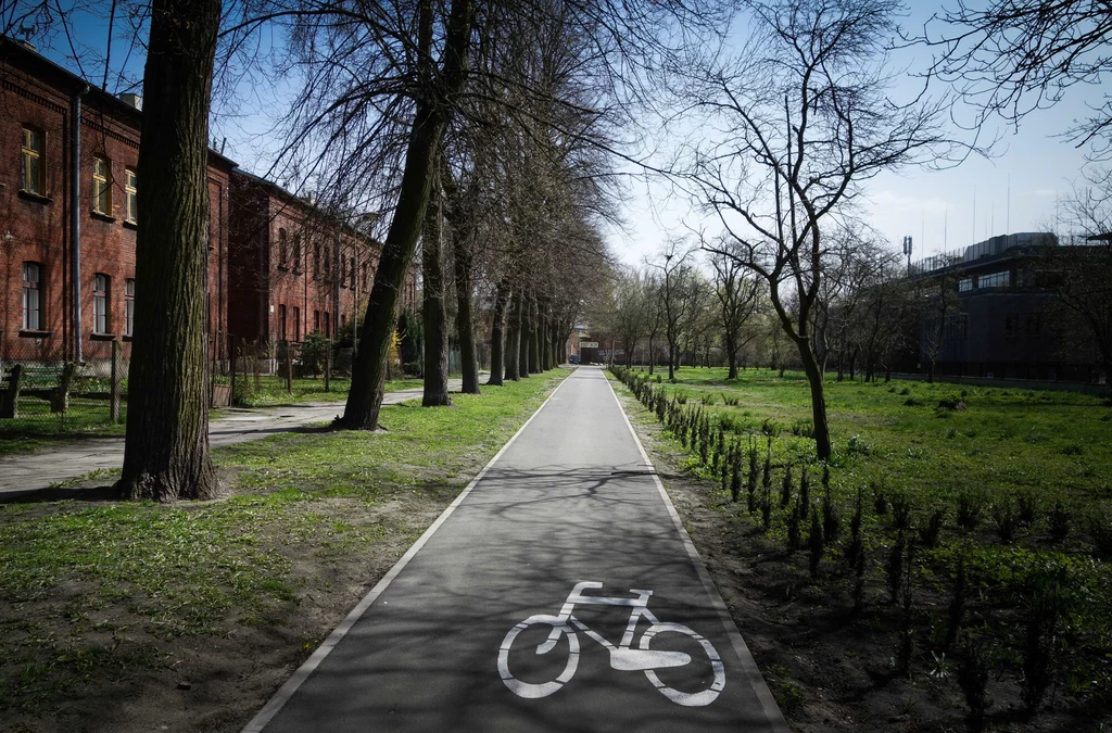 W Łodzi rowerzyści mają do dyspozycji 240 km dróg rowerowych